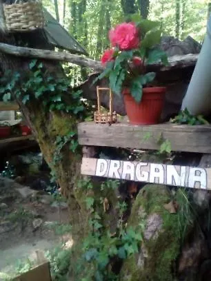 Seosko Domacinstvo Kod Dragane Sipovo